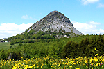 Gite en Ardeche - Le Mont Gerbier de Joncs