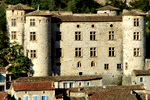 Chateau de voguë